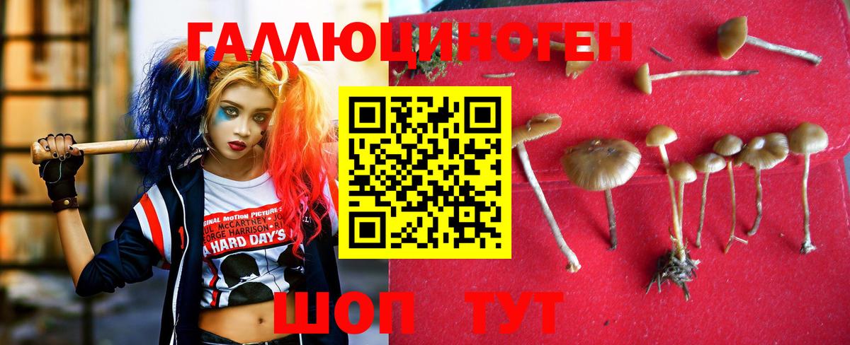 Галлюциногенные грибы ЛСД  Галлюциногенные грибы Psilocybine cubensis  Воткинск  Вход с VPN 